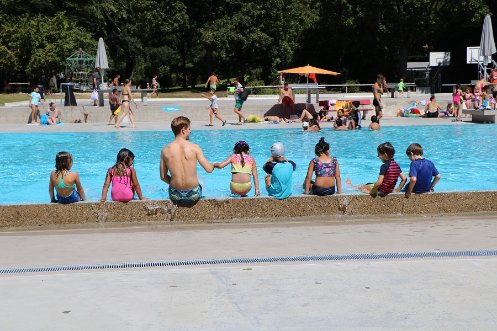 Kinder im Schwimmbecken bei den Sommer-Schwimmkursen Basel-Stadt